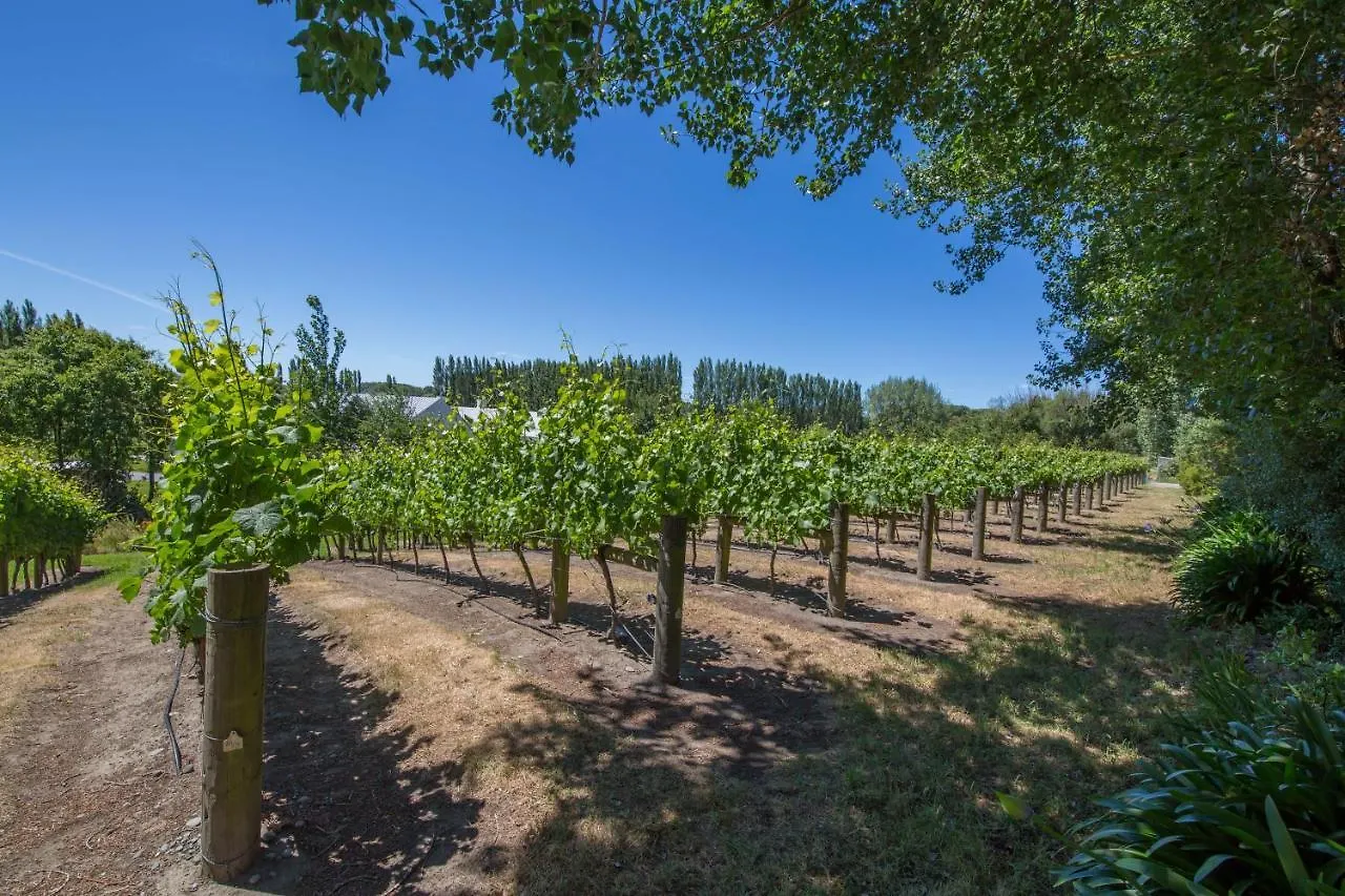Farm stay Clearwater Olive Estate Villa Christchurch