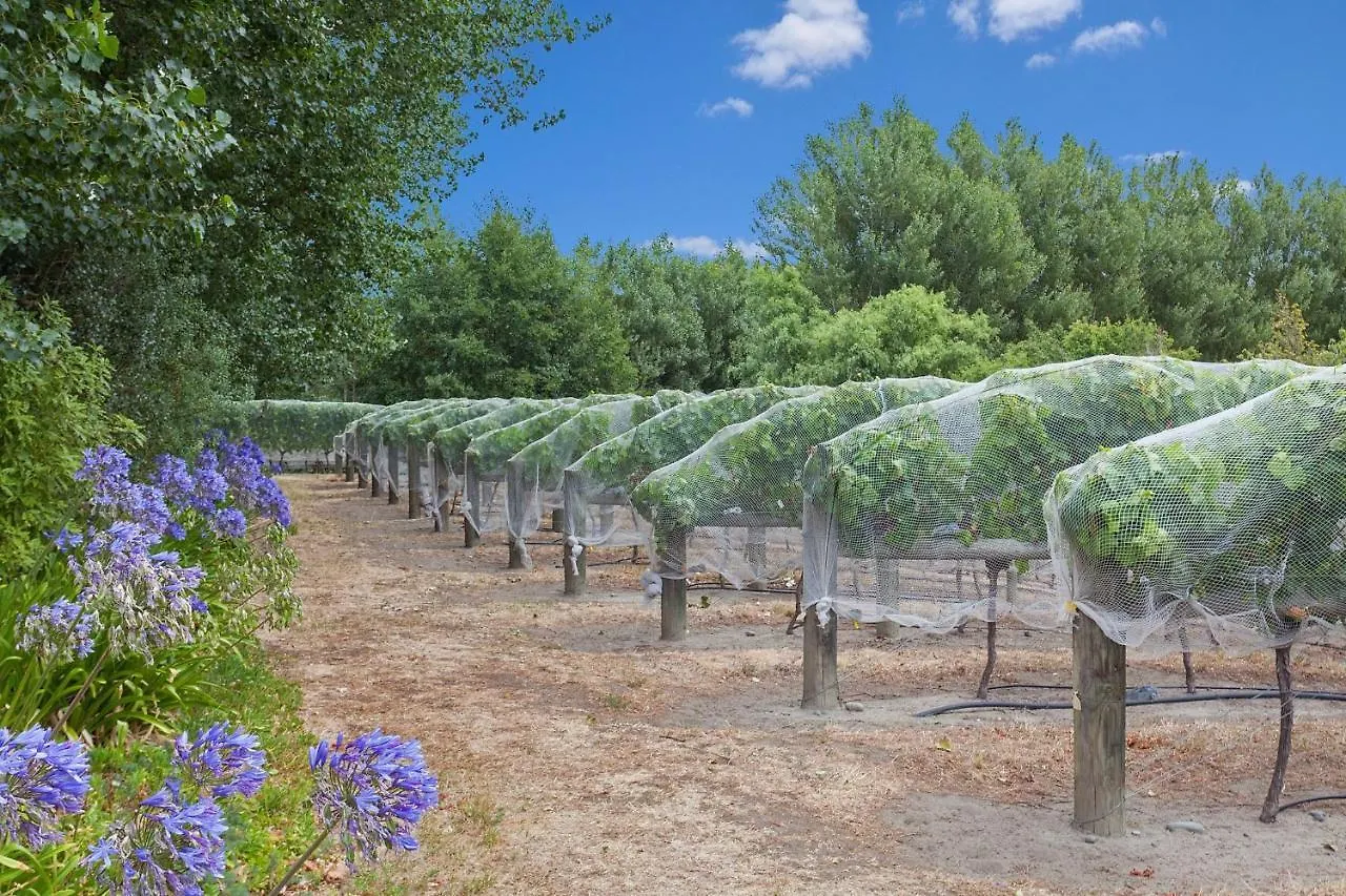 Farm stay Clearwater Olive Estate Villa Christchurch New Zealand