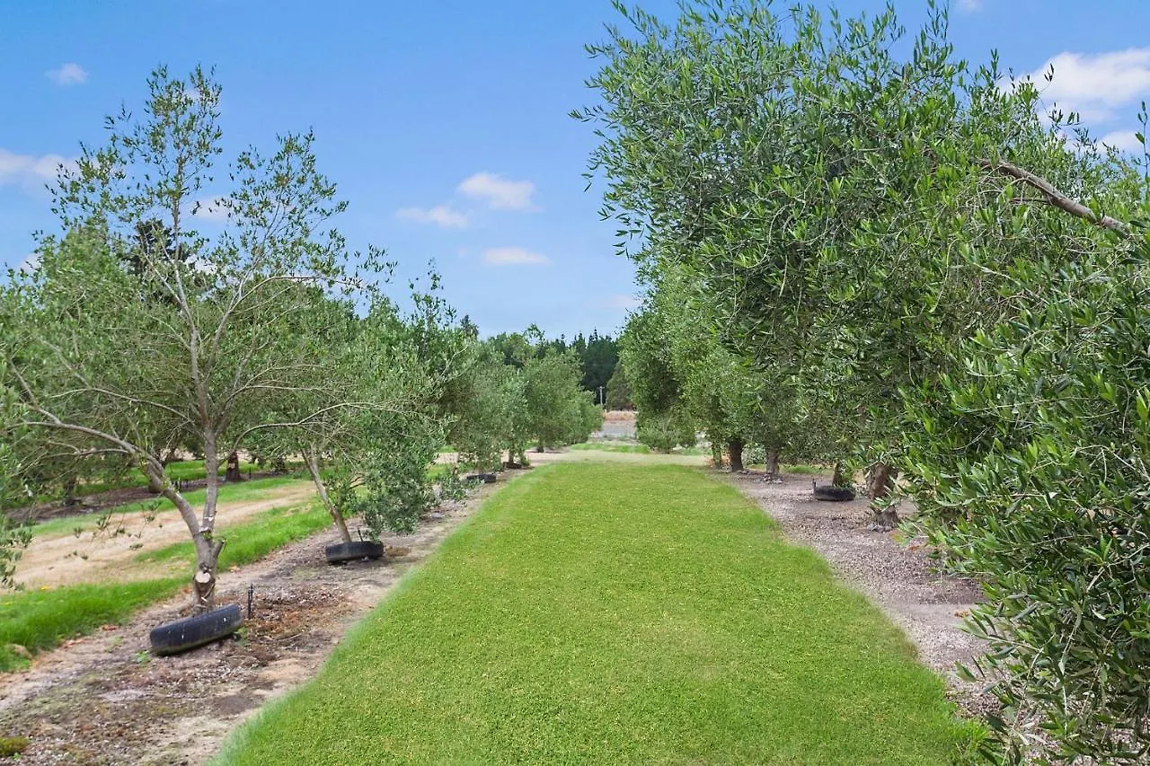 Farm stay Clearwater Olive Estate Villa Christchurch New Zealand